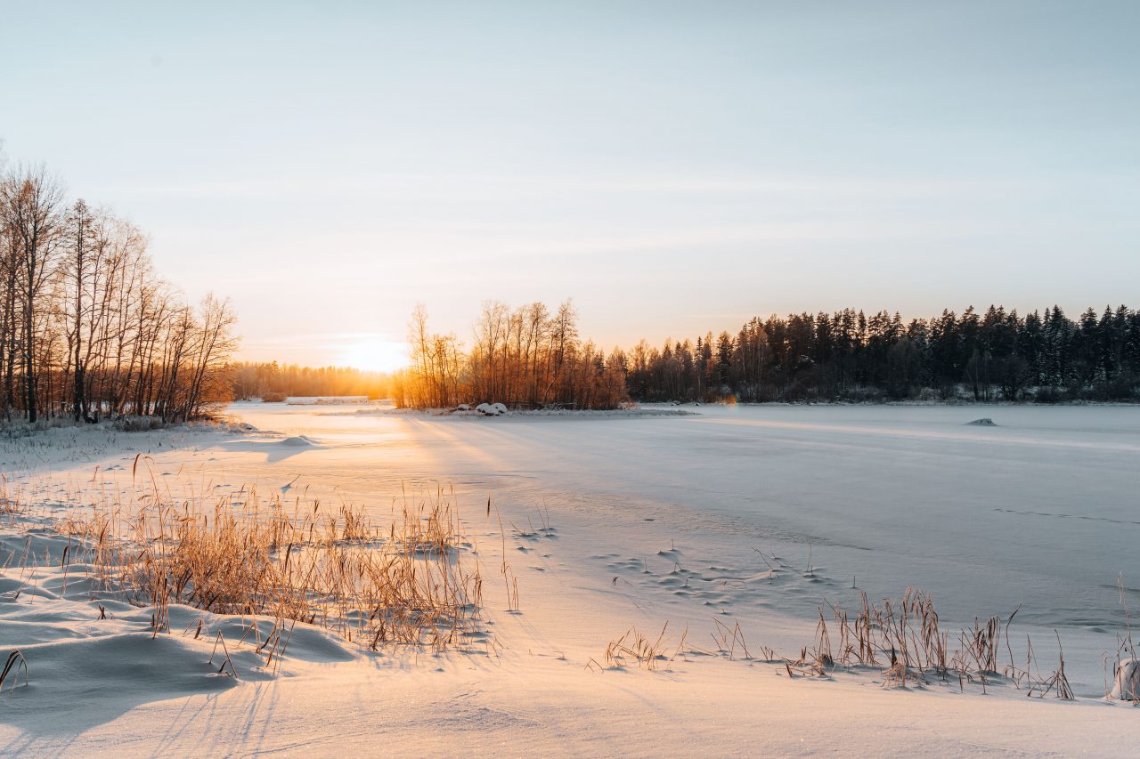 Дом (С видом на лес c 2-мя спальнями 54 м2), Загородный клуб Ромашка