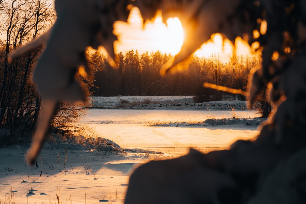 Дом (С видом на лес c 2-мя спальнями 54 м2), Загородный клуб Ромашка