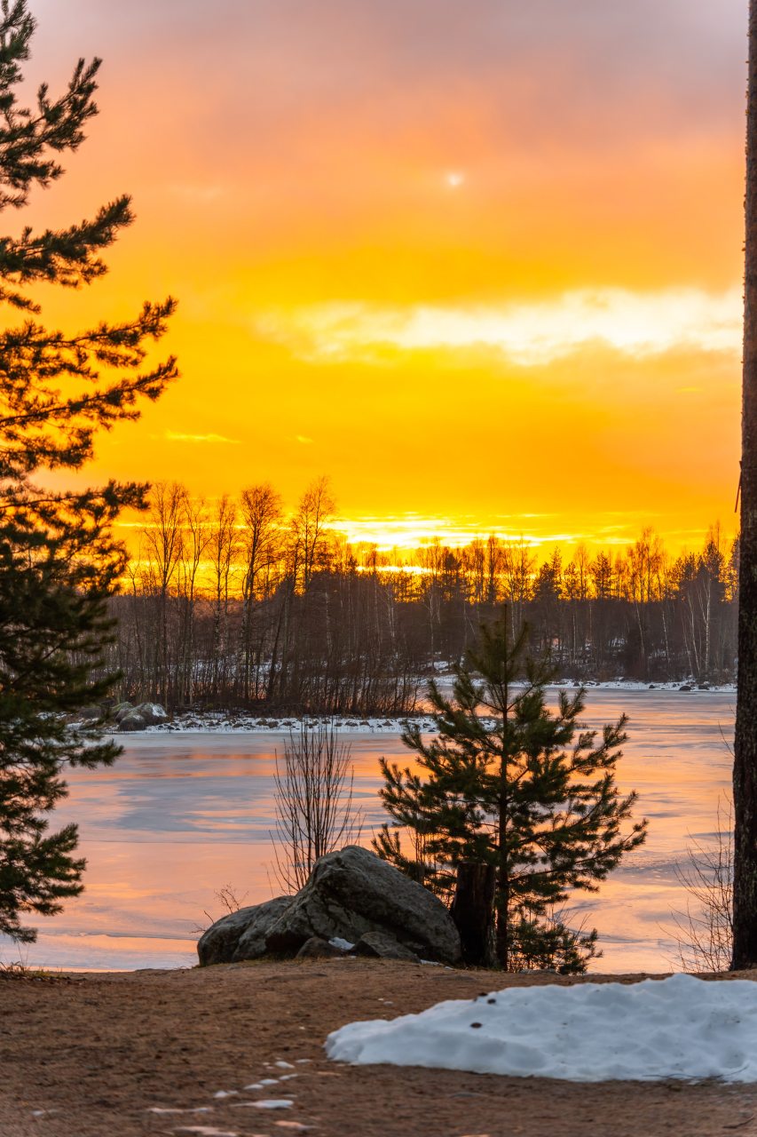Дом (С видом на лес c 2-мя спальнями 54 м2), Загородный клуб Ромашка