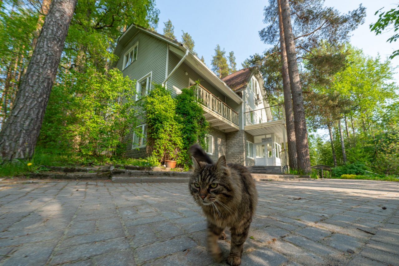 Коттедж (Большой  с сауной  7 спален), Загородный клуб Ромашка