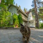 Коттедж (Большой  с сауной  7 спален), Загородный клуб Ромашка