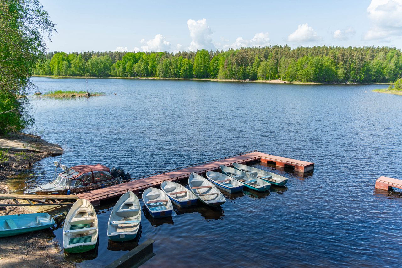Дом (У воды Малина/Брусника 28 м2), Загородный клуб Ромашка