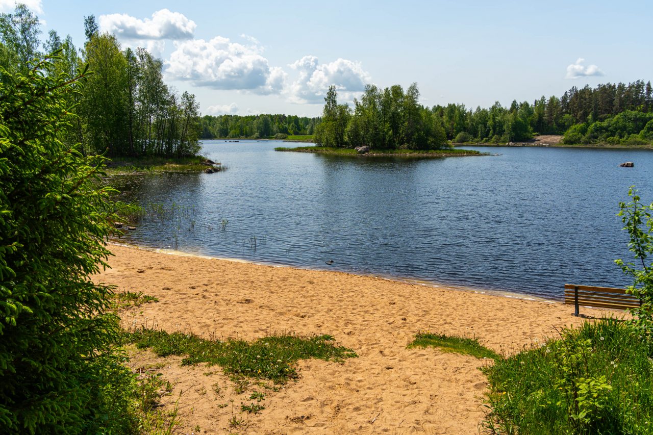 Дом (У воды Малина/Брусника 28 м2), Загородный клуб Ромашка