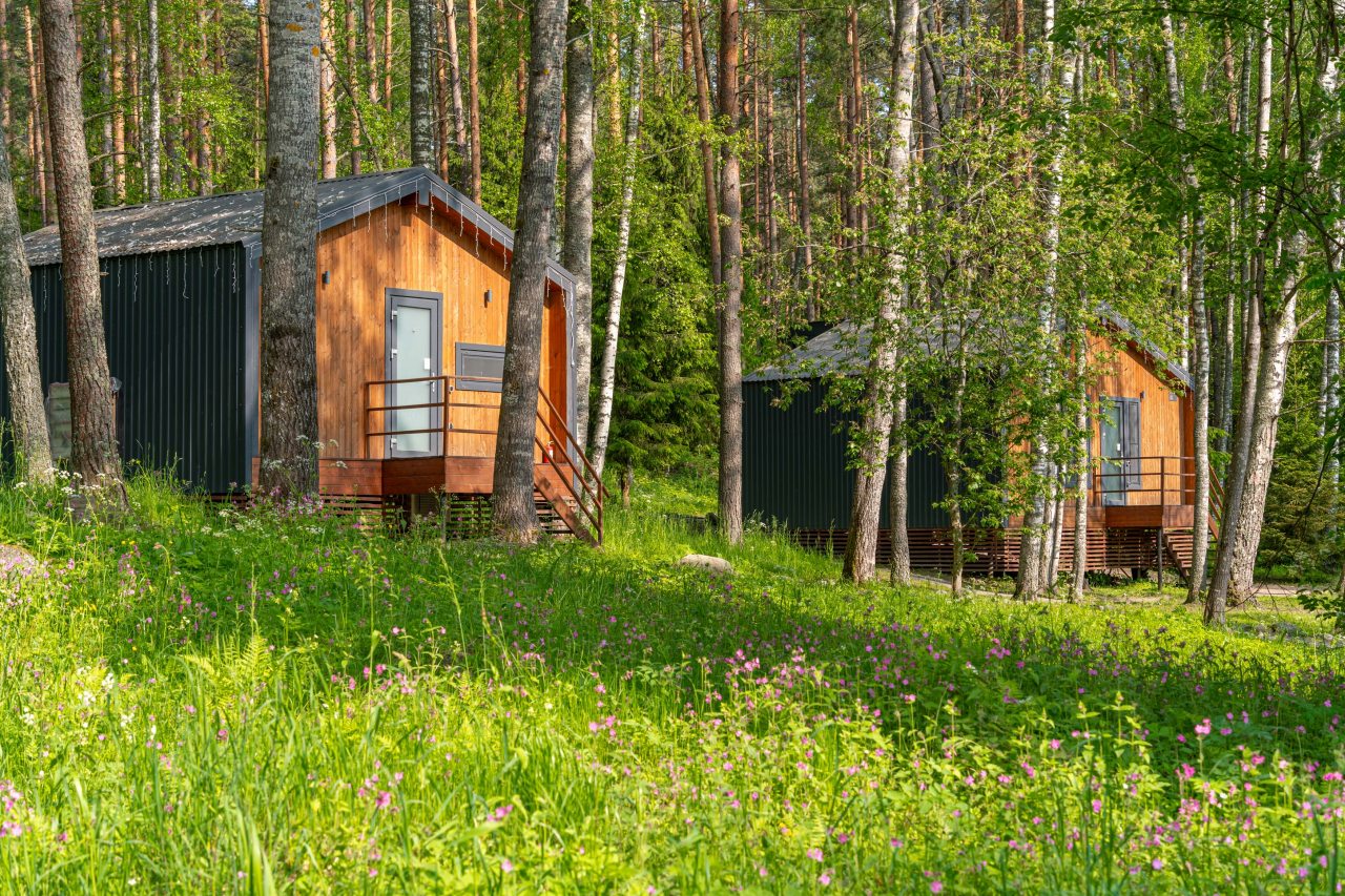 Дом (С видом на лес гостиная со спальней 50 м2), Загородный клуб Ромашка