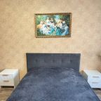 Квартира (1 ком. Кузнечный взвоз 14 Синяя), Апартаменты Кузнечный Взвоз 14