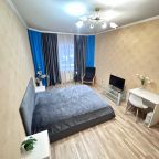 Квартира (1 ком. Кузнечный взвоз 14 Синяя), Апартаменты Кузнечный Взвоз 14