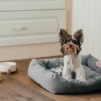 Допускается размещение домашних животных, Эко-отель Простые радости