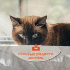 Допускается размещение домашних животных, Эко-отель Простые радости