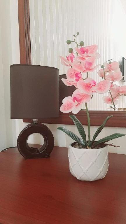 Двухместный (Улучшенный номер с кроватью размера «king-size»), Hotel VELVET