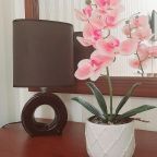 Двухместный (Улучшенный номер с кроватью размера «king-size»), Hotel VELVET