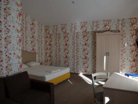 Фотография номера гостиницы Альпийская сказка Плюс