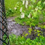 Барбекю, Гостевой дом Арслан