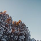 Автостоянка / Парковка, Гостевой дом Арслан