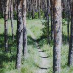 Сад, Гостевой дом Арслан