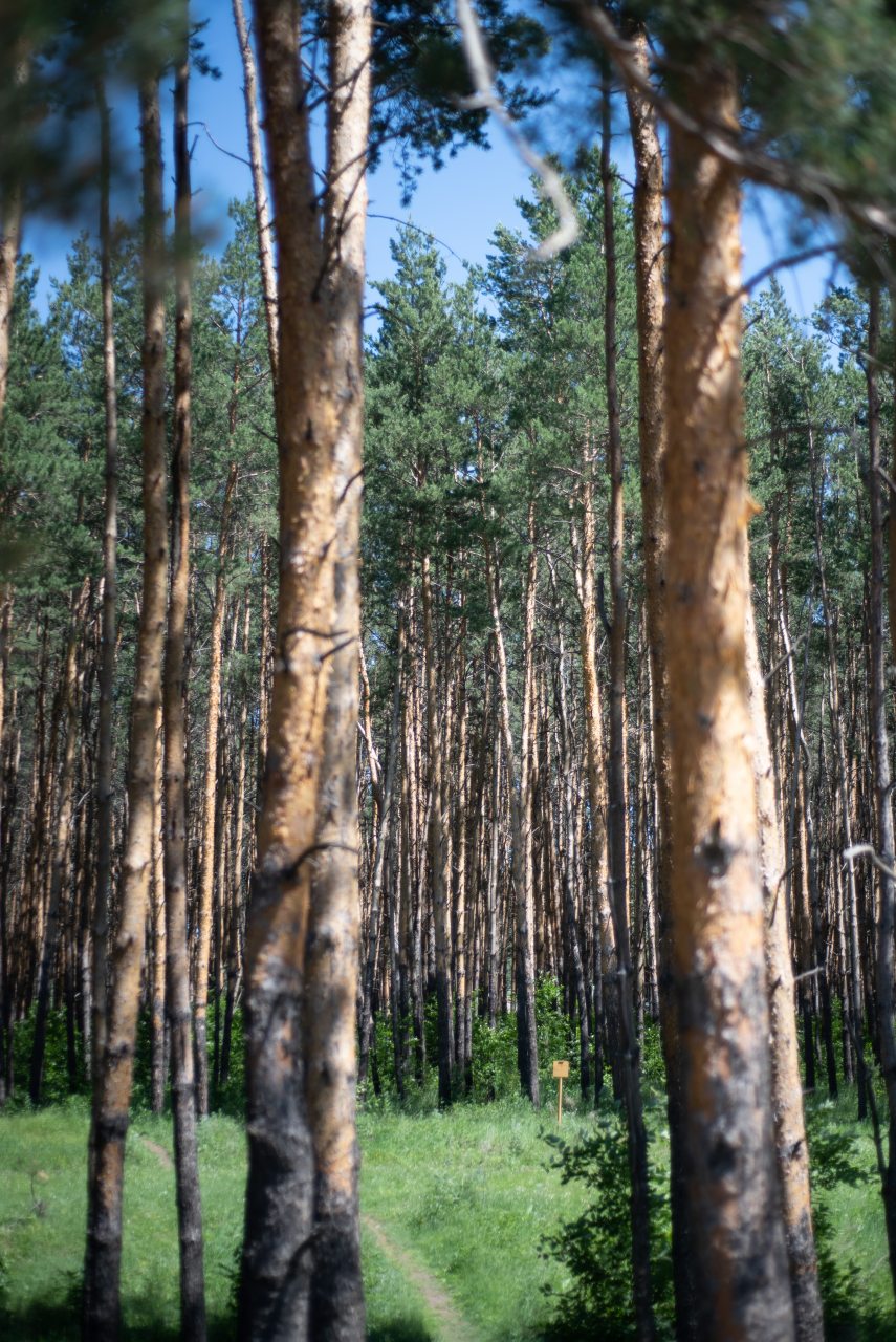 Студио (Номер-студия с балконом), Гостевой дом Арслан