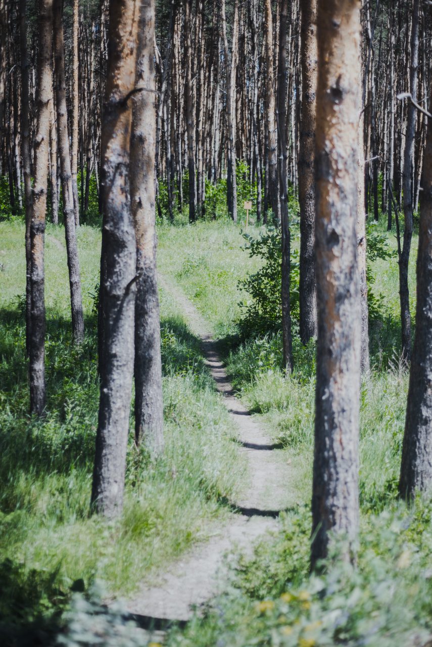 Студио (Номер-студия с балконом), Гостевой дом Арслан