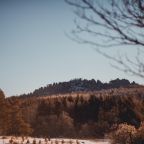 Двухместный (Улучшенный с 1 кроватью или 2 отдельными кроватями), Гостевой дом Арслан