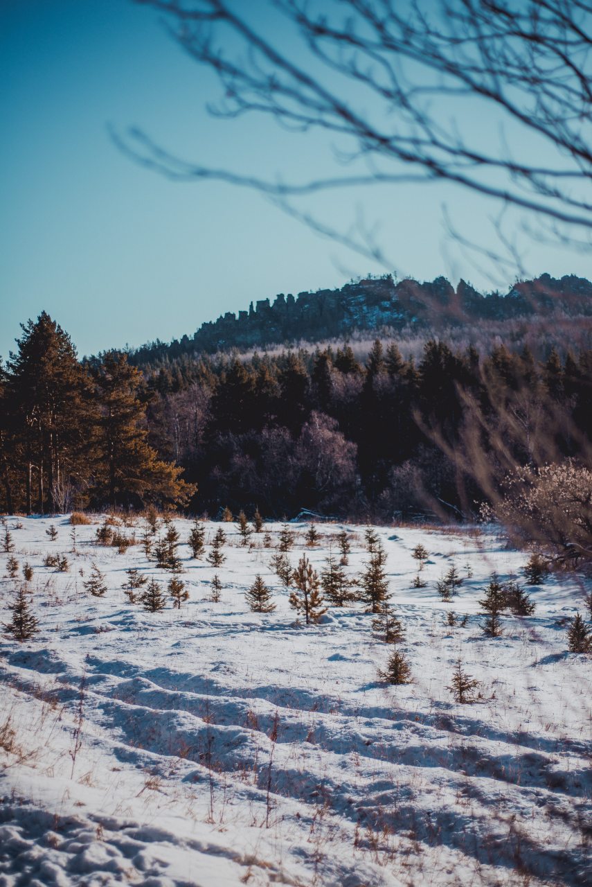 Двухместный (Улучшенный с 1 кроватью или 2 отдельными кроватями), Гостевой дом Арслан