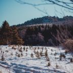 Двухместный (Улучшенный с 1 кроватью или 2 отдельными кроватями), Гостевой дом Арслан