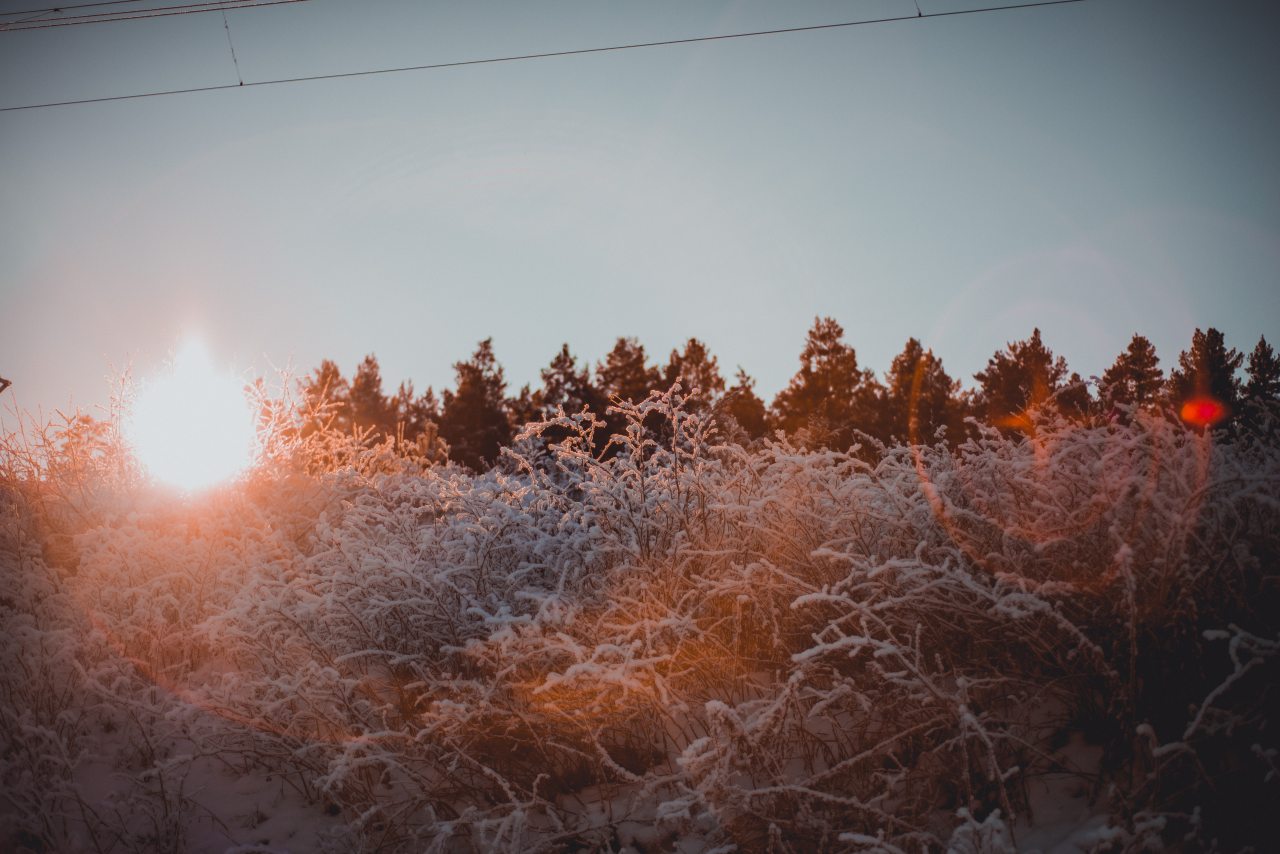 Двухместный (Улучшенный с 1 кроватью или 2 отдельными кроватями), Гостевой дом Арслан