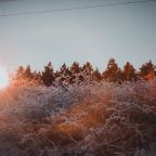 Двухместный (Улучшенный с 1 кроватью или 2 отдельными кроватями), Гостевой дом Арслан