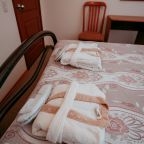 Двухместный (Улучшенный с 1 кроватью или 2 отдельными кроватями), Гостевой дом Арслан