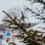 Терраса, Гостевой дом Арслан