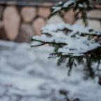 Сад, Гостевой дом Арслан