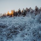 Сад, Гостевой дом Арслан