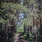 Сьюит (Люкс), Гостевой дом Арслан