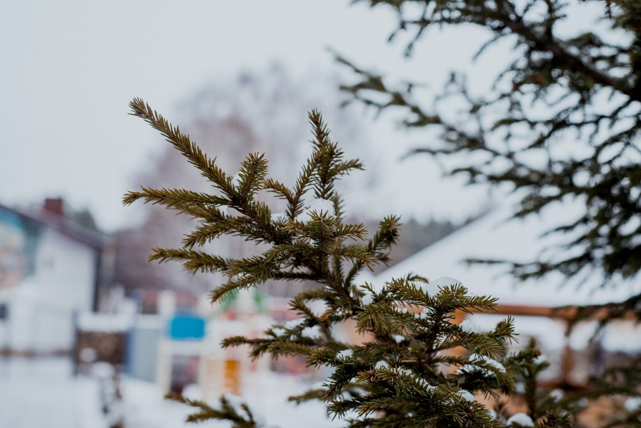 Сьюит (Люкс), Гостевой дом Арслан