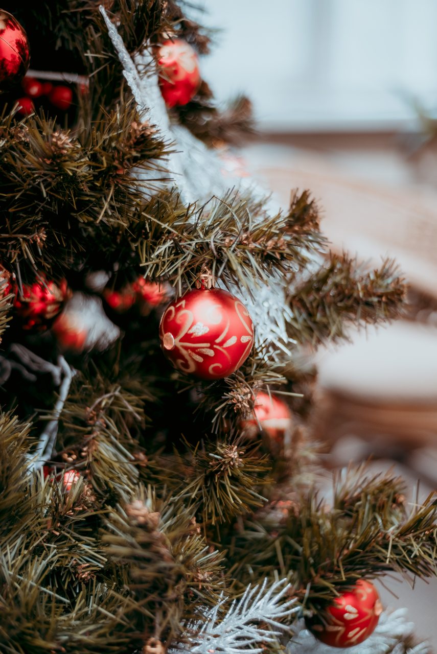 Сьюит (Люкс), Гостевой дом Арслан