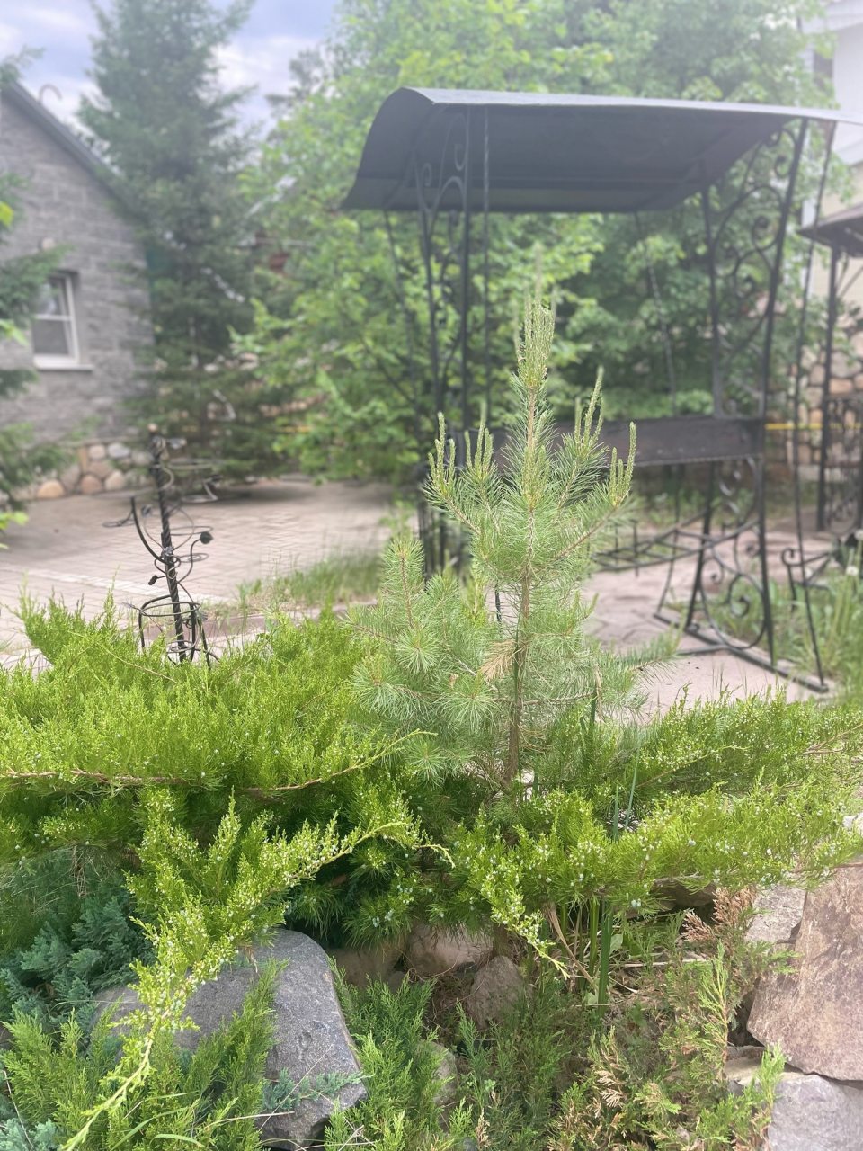 Коттедж, Гостевой дом Арслан