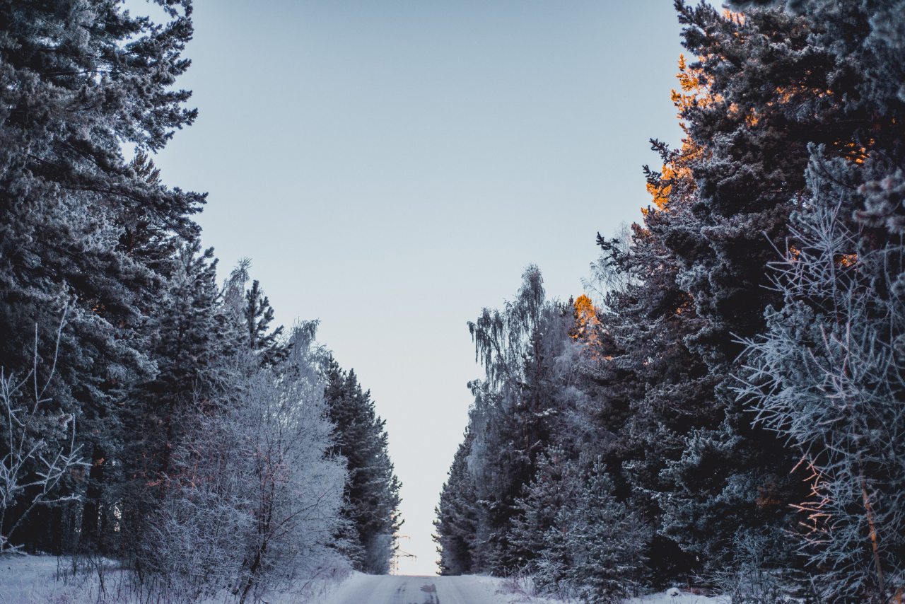 Коттедж, Гостевой дом Арслан