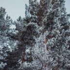 Коттедж, Гостевой дом Арслан