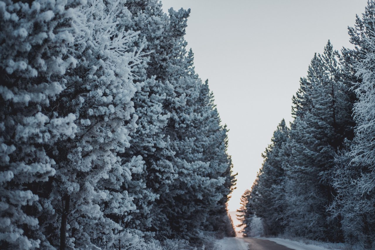 Коттедж, Гостевой дом Арслан