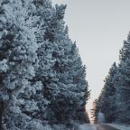 Коттедж, Гостевой дом Арслан