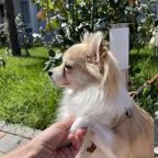 Допускается размещение домашних животных, База отдыха Здоровье