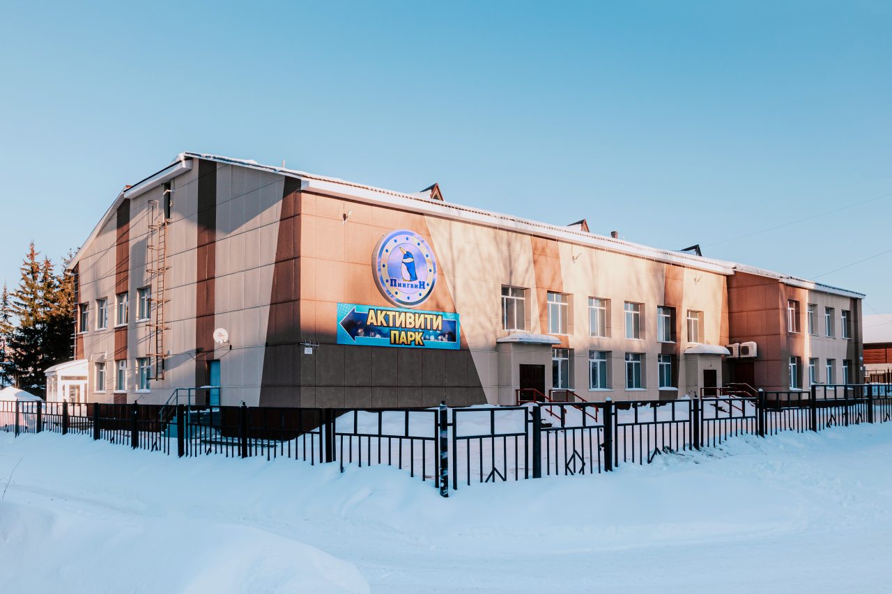 Гостиница Пингвин, Соликамск