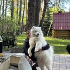 Собаки до 15 кг, Усадьба Еловое