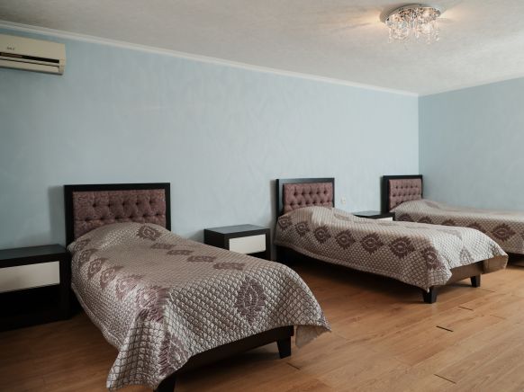 Фотография номера гостиницы Пушкинская