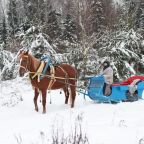 Вилла (Вилла с сауной), База отдыха Палисад Resort