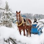 Вилла (Вилла с сауной), База отдыха Палисад Resort