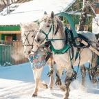 Прогулки на лошадях, Гостевой дом Семейный Отель