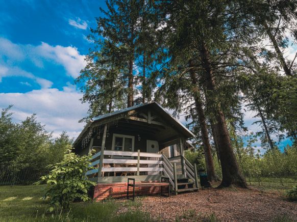 Фотография номера гостиницы Лесной курорт Ефимов Бор