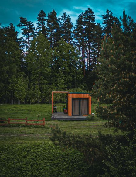 Фотография номера гостиницы Лесной курорт Ефимов Бор