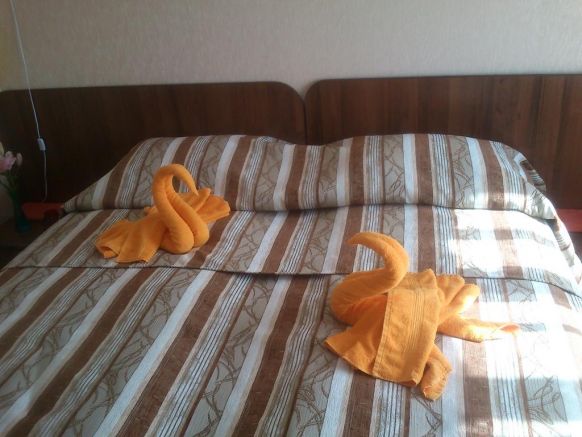 Фотография номера гостиницы Длинный берег