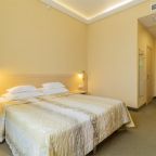 Двухместный (Стандарт комфорт с двуспальной кроватью), SPA-отель Мелиот