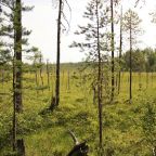 Пешие прогулки, Отель Велт