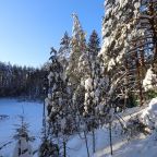 Лесное озеро, пирс